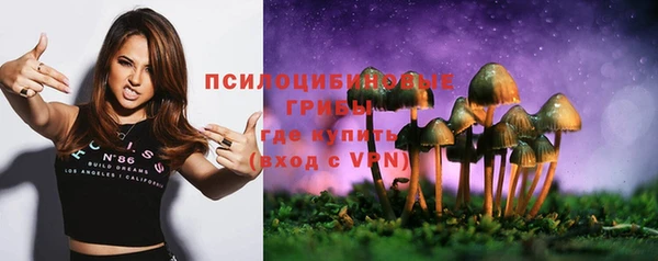 МДПВ Верхнеуральск