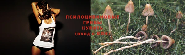 индика Струнино