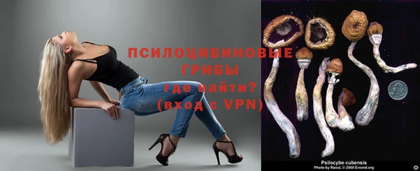 индика Струнино