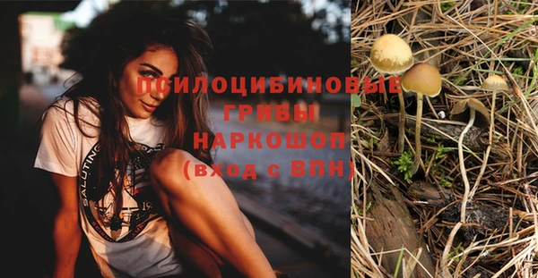 МДПВ Верхнеуральск