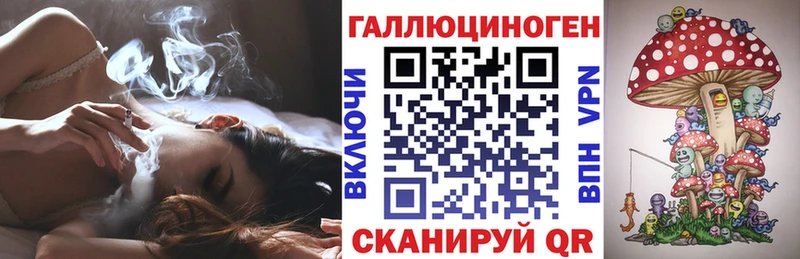 гидра ссылки  магазин продажи   Можайск  Псилоцибиновые грибы Psilocybine cubensis 