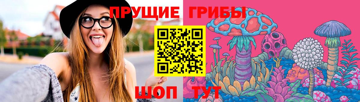 Псилоцибиновые грибы Psilocybine cubensis  Вход с VPN  Псилоцибиновые грибы Cubensis  Можайск 